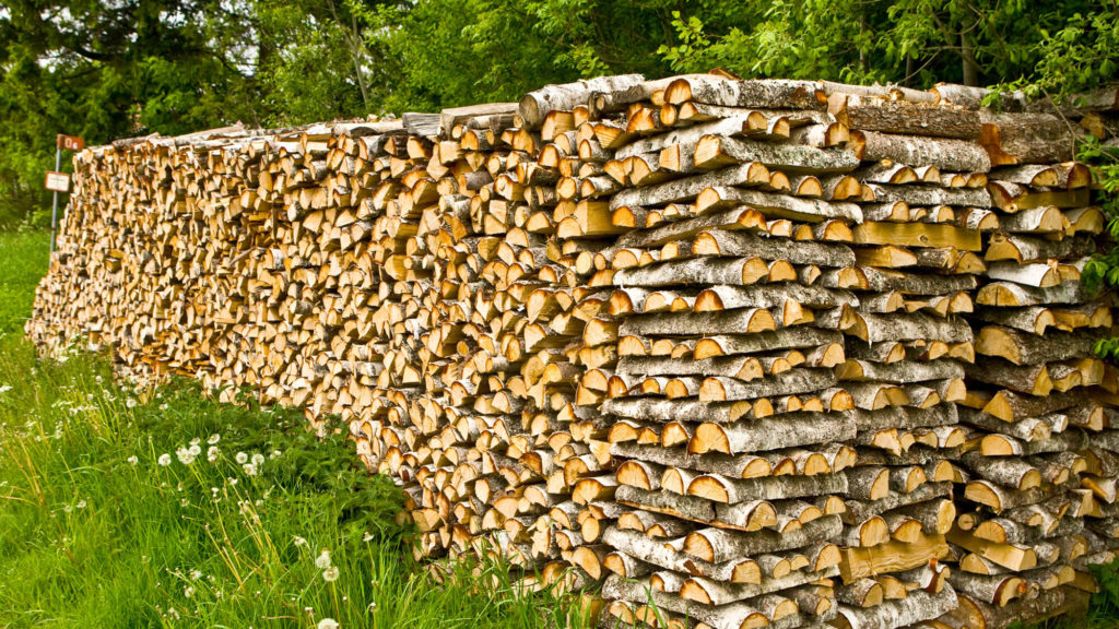 Duften av tørkende bjørkeved