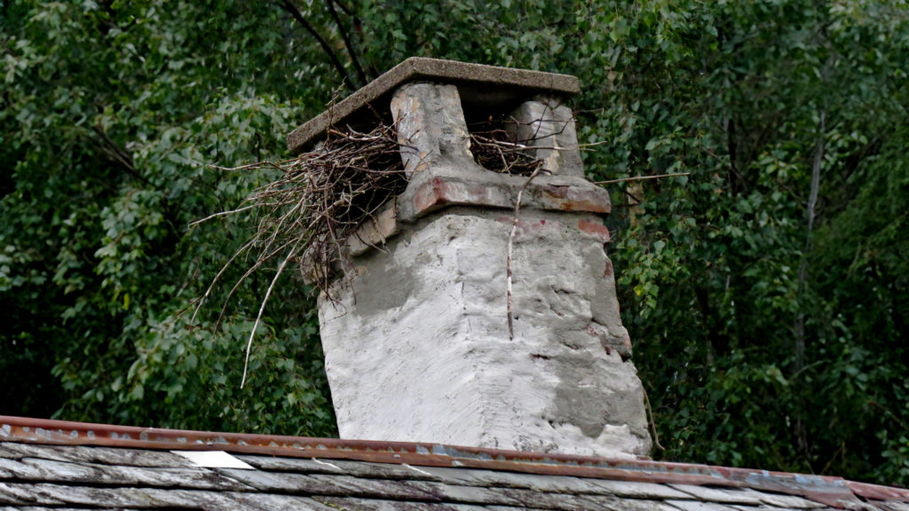 Har du dårlig trekk i pipa?