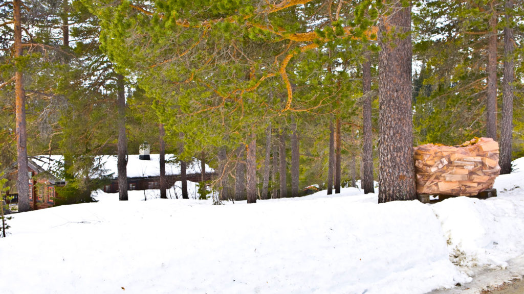 Har du nok bjørkeved til vinterferien!