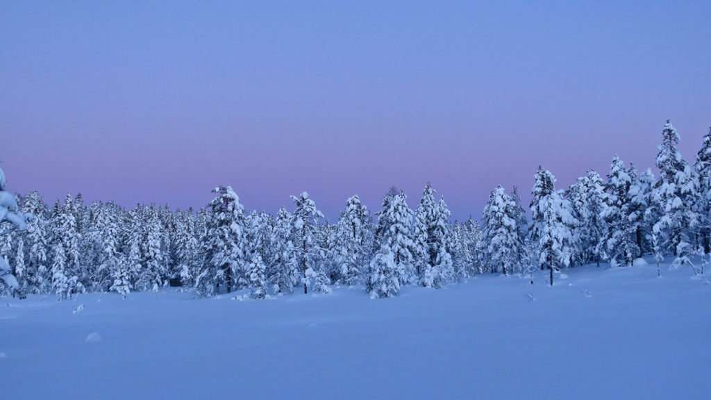 Hardkulde og megapriser på strøm