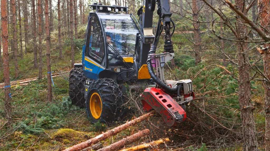 Hold god avstand til skogsdrifter!