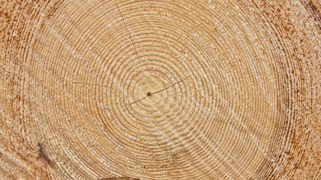 Hungerved dannes i Finnmark