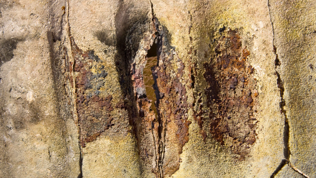 Hvordan er tilstanden til brennplatene i ovnen?