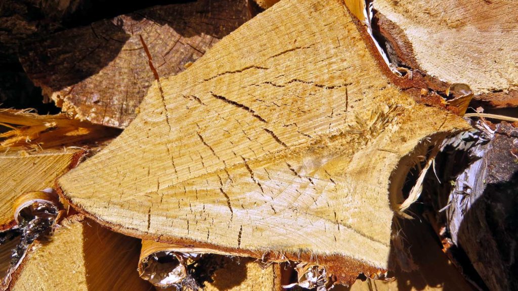 Hvorfor sprekker tørkende ved?