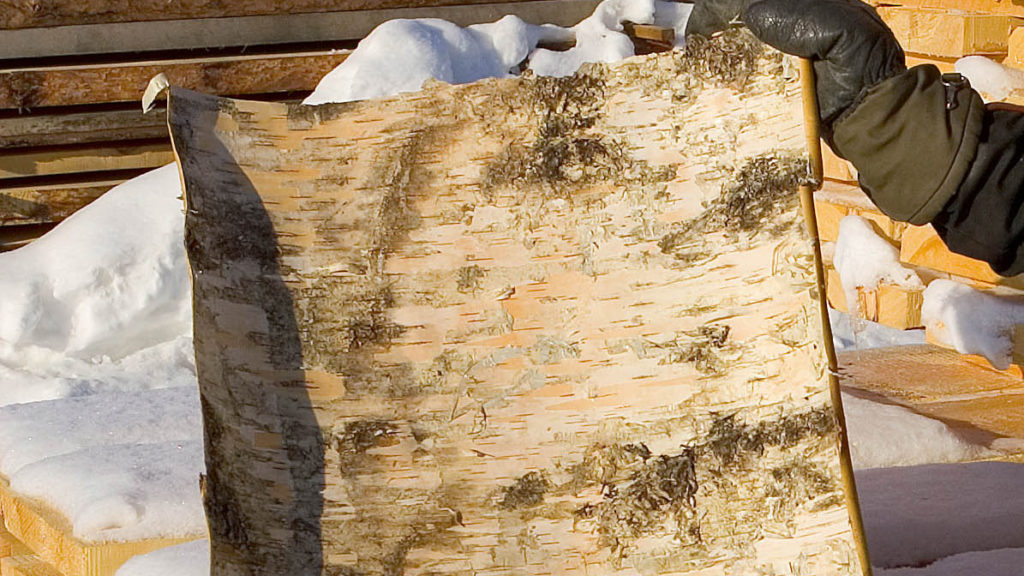 Hvorfor tenner never så godt?