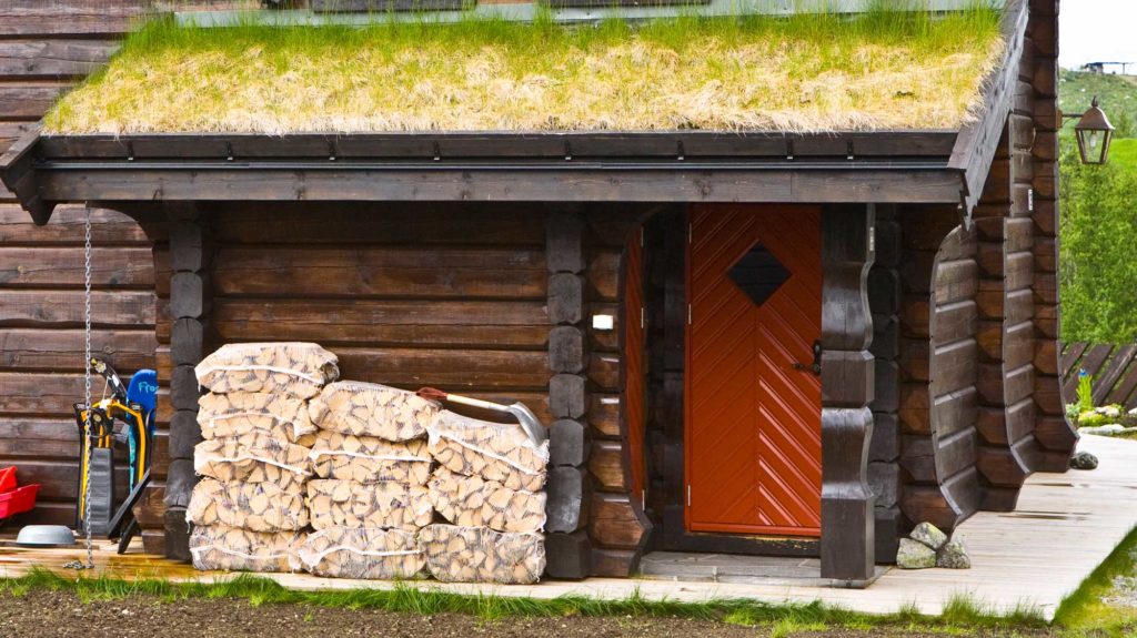 Mange velger nok hytteferie i år