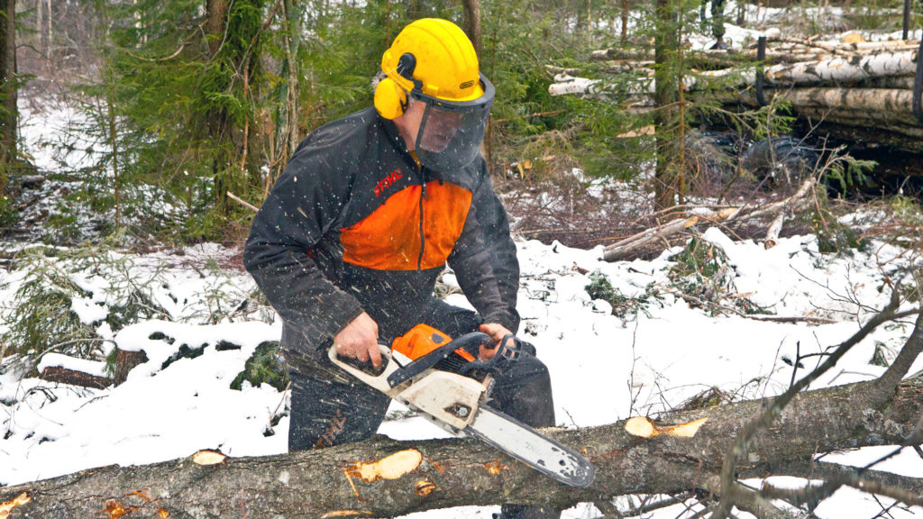 Nå er vedhogsten i full gang!