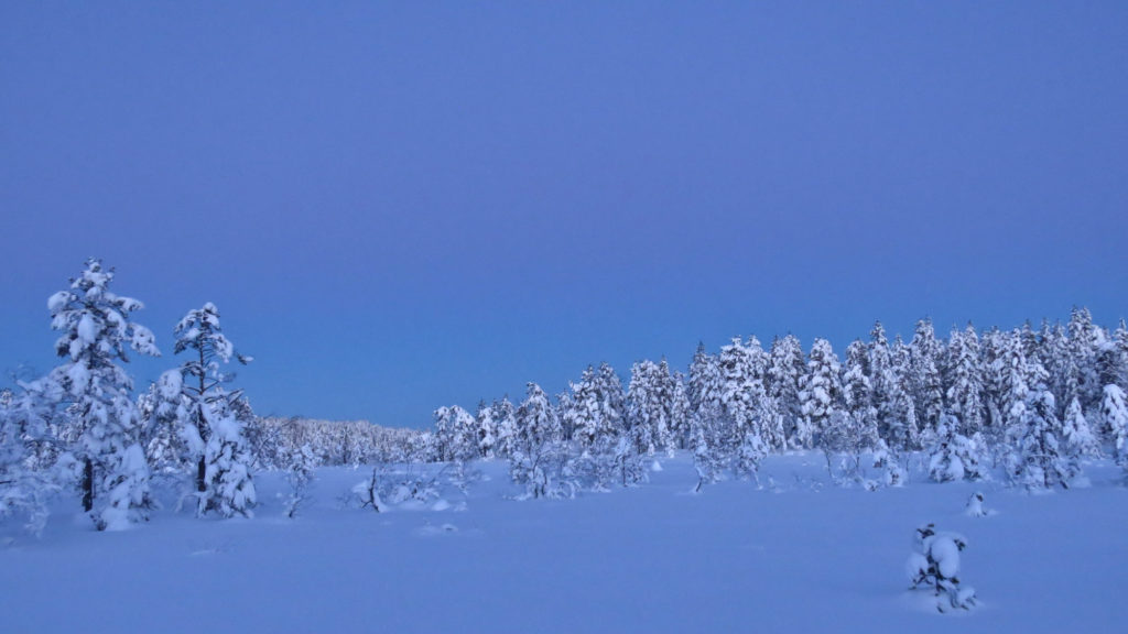Nå kommer hardkulda igjen!