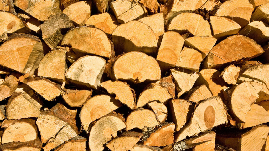 Vanskelig å få kjøpt bjørk? Prøv andre treslag!