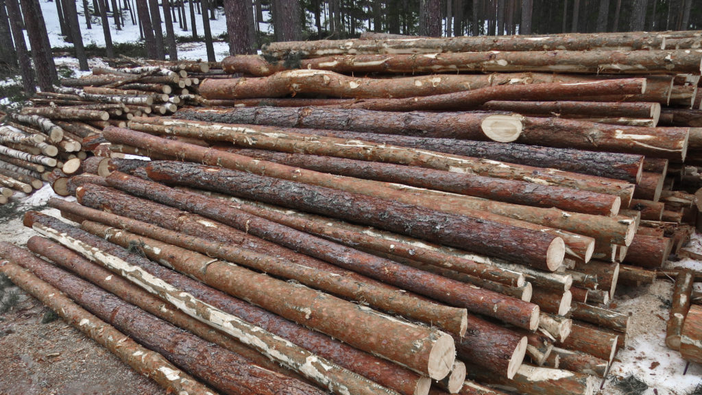 Vedfyring ekstra lønnsomt når vi trenger mye energi